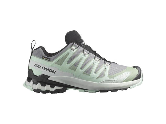 Salomon XA Pro 3D V9 Womens GTX