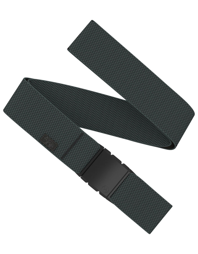 Load image into Gallery viewer, Arcade Carry Belt
