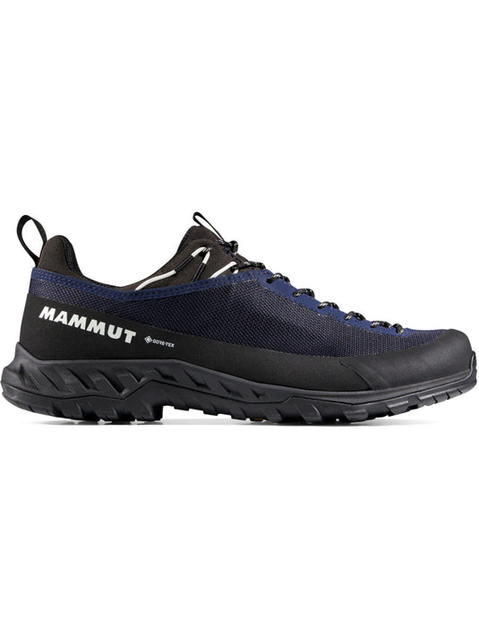 Mammut Alnasca IV Low GTX Mens